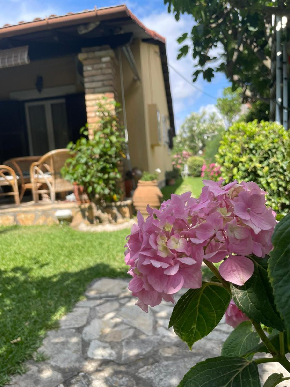 Villa Tina Country Beach Apartments Aharávi Szoba fotó