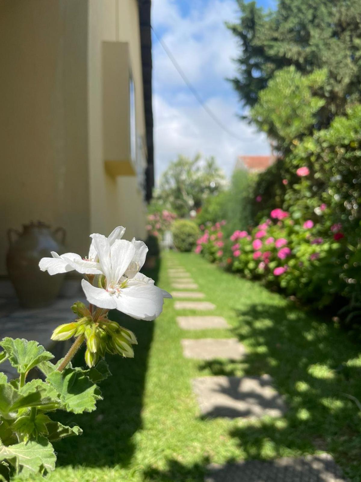 Villa Tina Country Beach Apartments Aharávi Szoba fotó