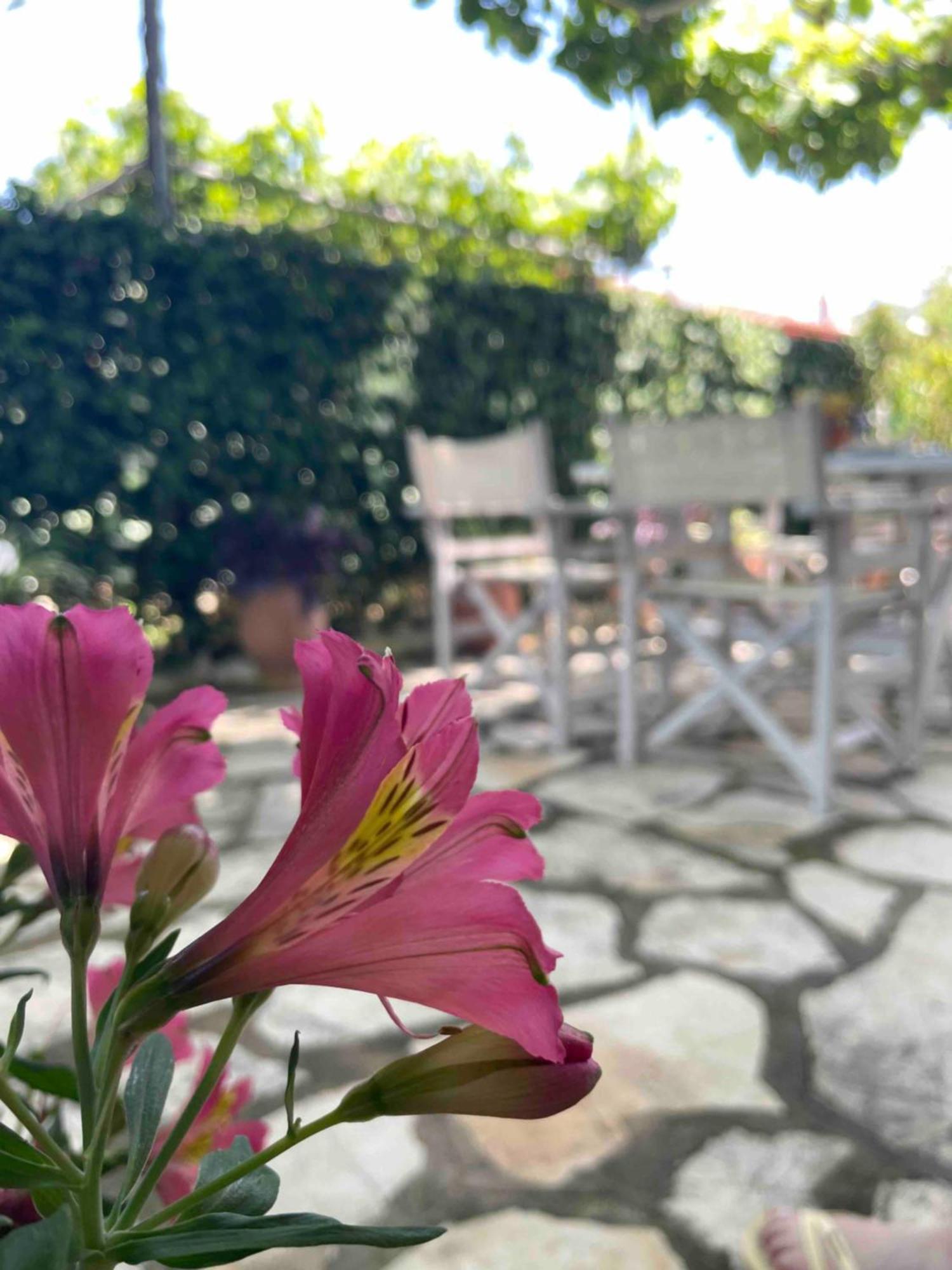 Villa Tina Country Beach Apartments Aharávi Szoba fotó